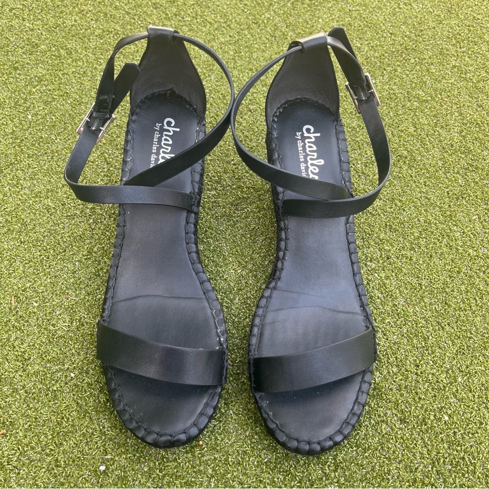 Charles by Charles David Nola Espadrille wedge sandal size 8.5